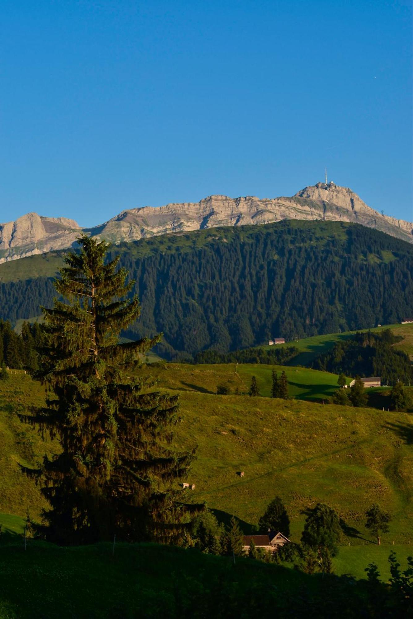Ferienwohnung In Buehler Naehe Appenzell Buhler Экстерьер фото